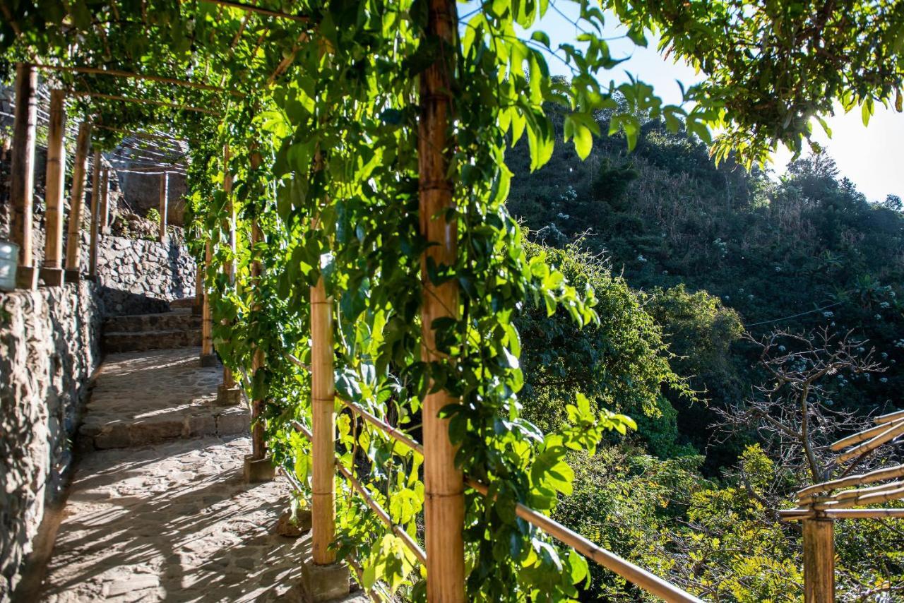 מלון Tzununá El Picnic Atitlan מראה חיצוני תמונה